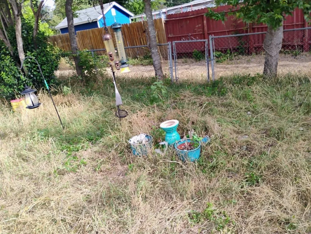 Professional residential landscaping in Schertz, TX by Pleasant Lawn Care Services