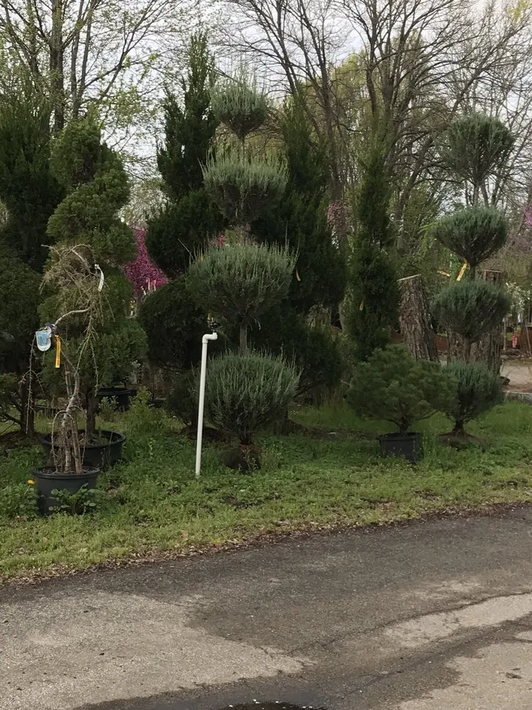 Expert landscaping services experts serving Springfield, IL - Pleasant Nursery