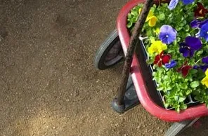 Local residential landscaping experts serving Springfield, IL - Pleasant Nursery