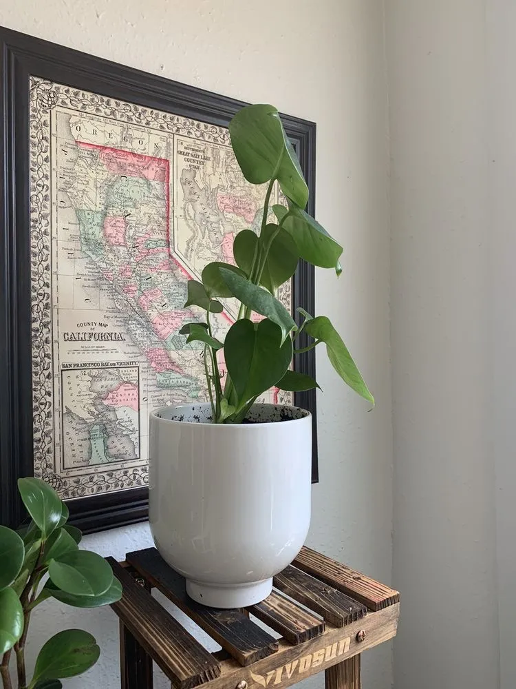 Top-rated landscape installation for residential properties across Springfield, IL - Pleasant Nursery