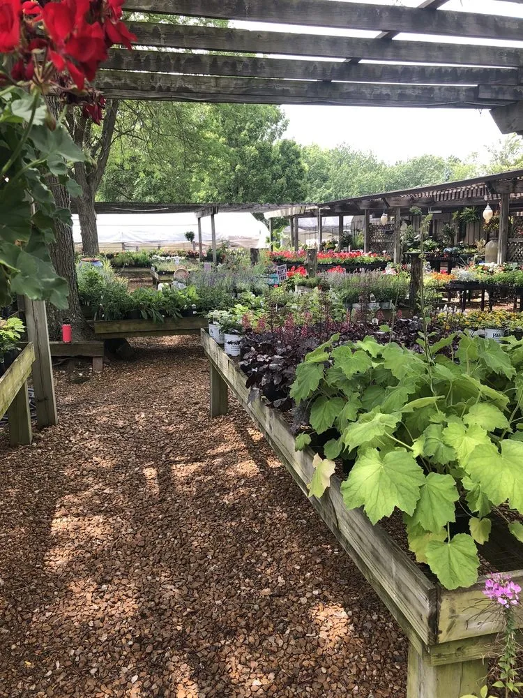 Affordable outdoor landscaping in Springfield, IL - Pleasant Nursery