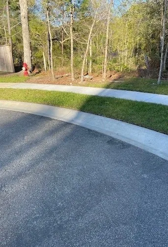 Expert landscape installation for outdoor upgrades across Mount Pleasant, SC - Pleasant Places