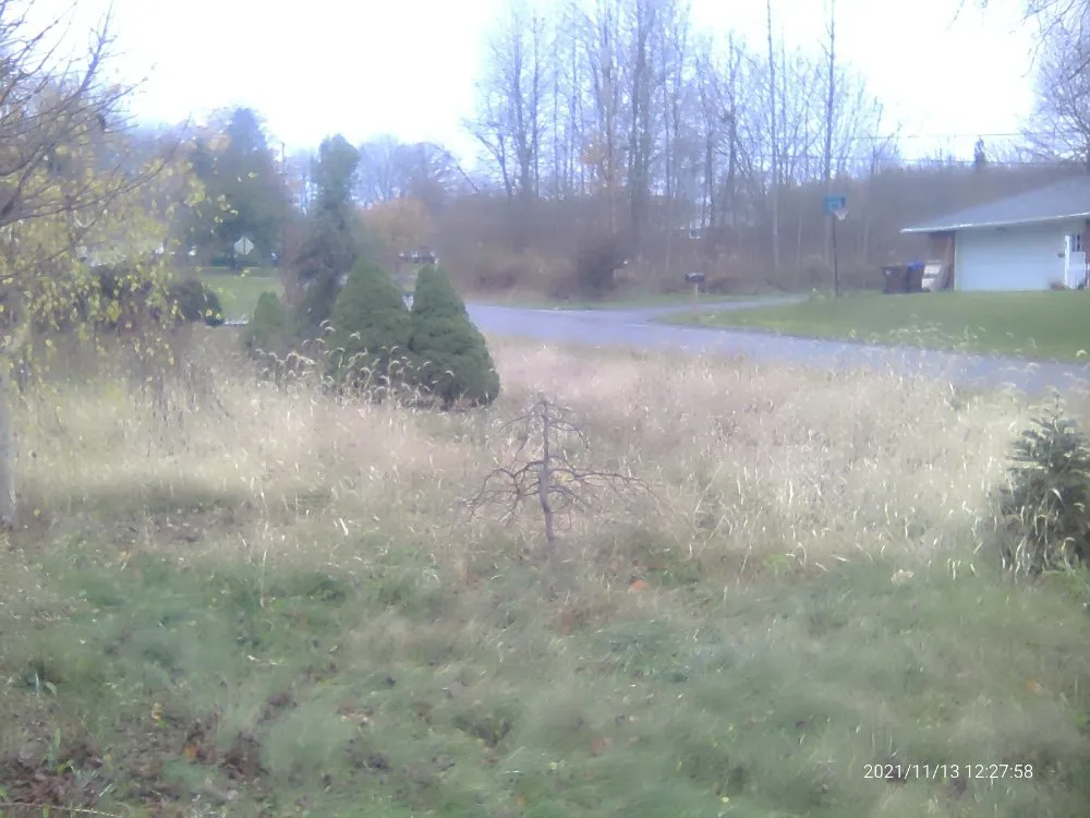 Local lawn care service for residential properties across Sharon, PA - Pleasant Surrounding