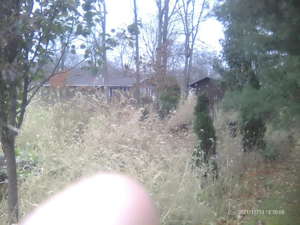 Affordable landscape installation for outdoor upgrades in Sharon, PA by Pleasant Surrounding