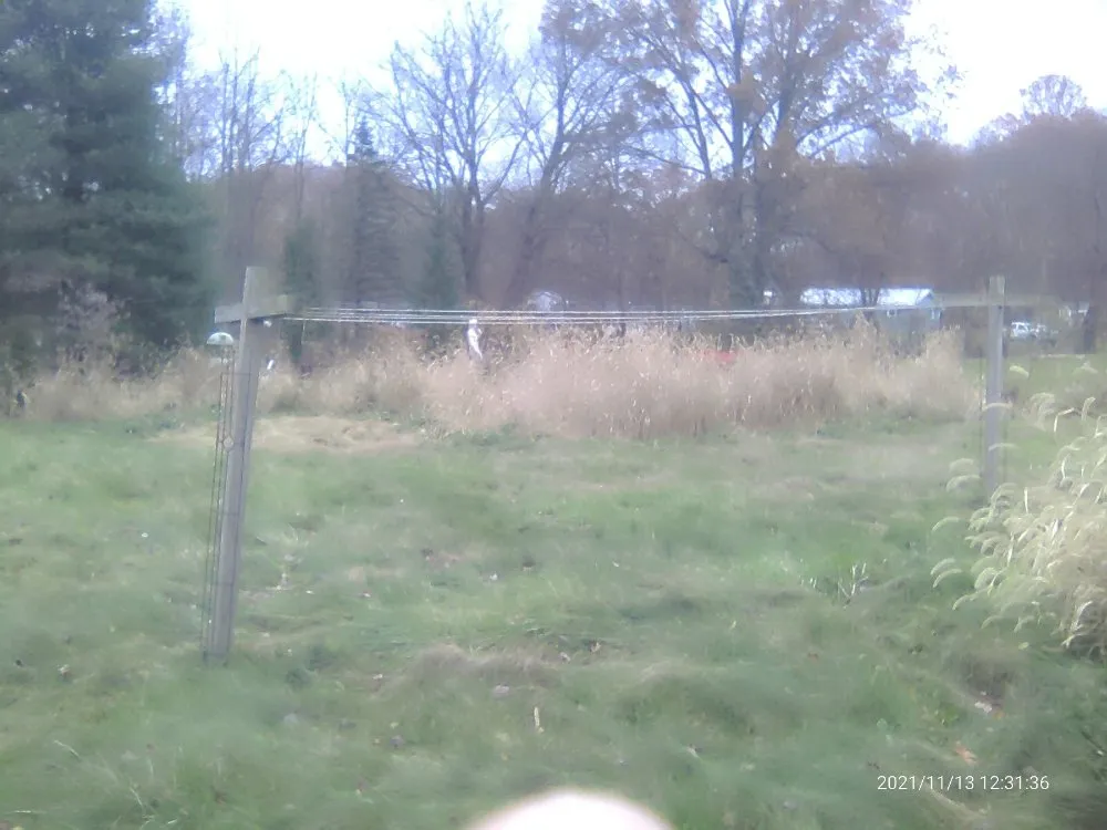 Professional lawn care service in Sharon, PA - Pleasant Surrounding