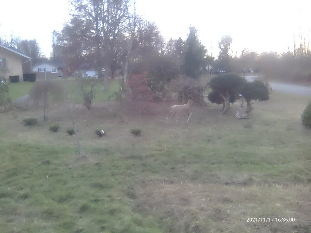 Local landscape installation in Sharon, PA - Pleasant Surrounding