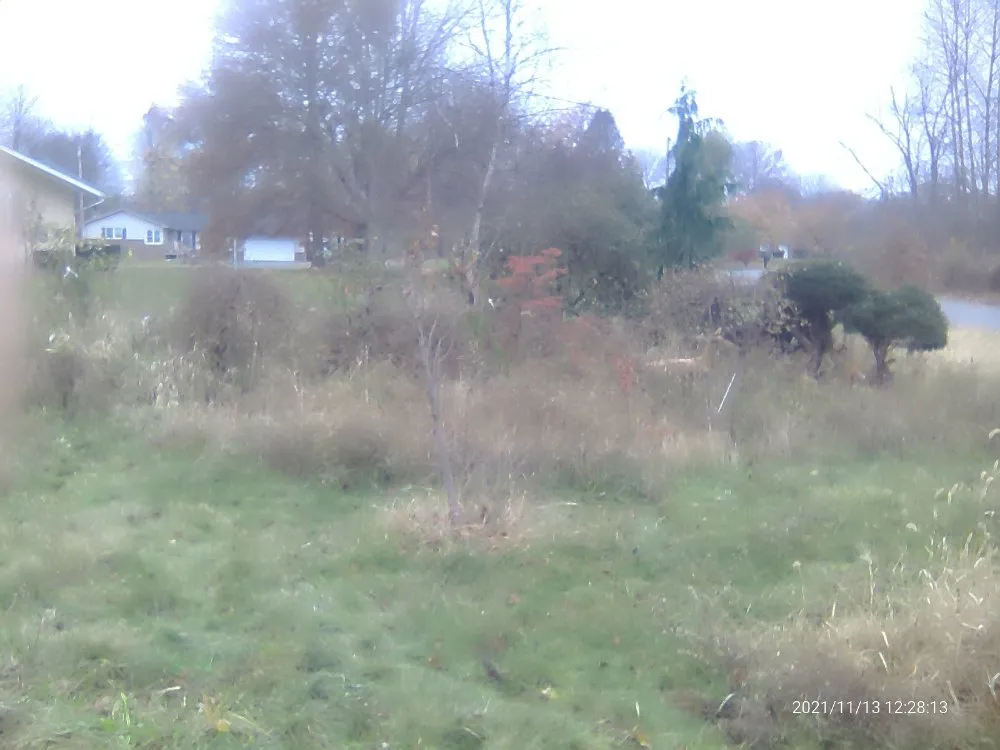 Custom lawn mowing service in Sharon, PA by Pleasant Surrounding