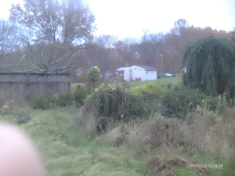 Affordable landscape installation in Sharon, PA by Pleasant Surrounding