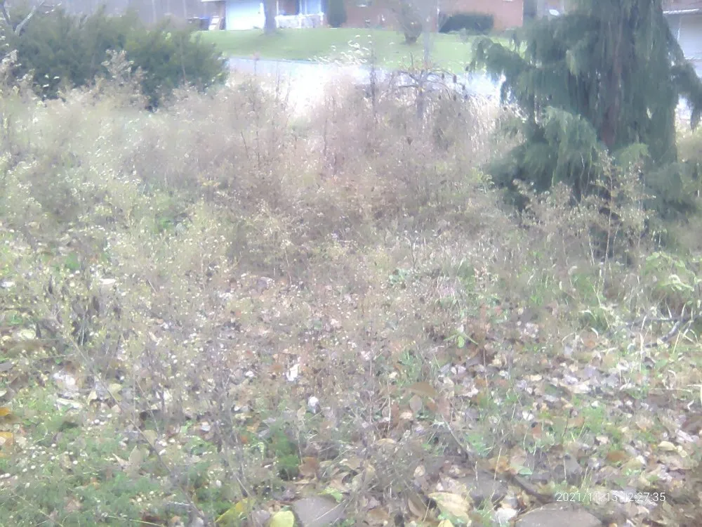 Expert lawn mowing service in Sharon, PA - Pleasant Surrounding