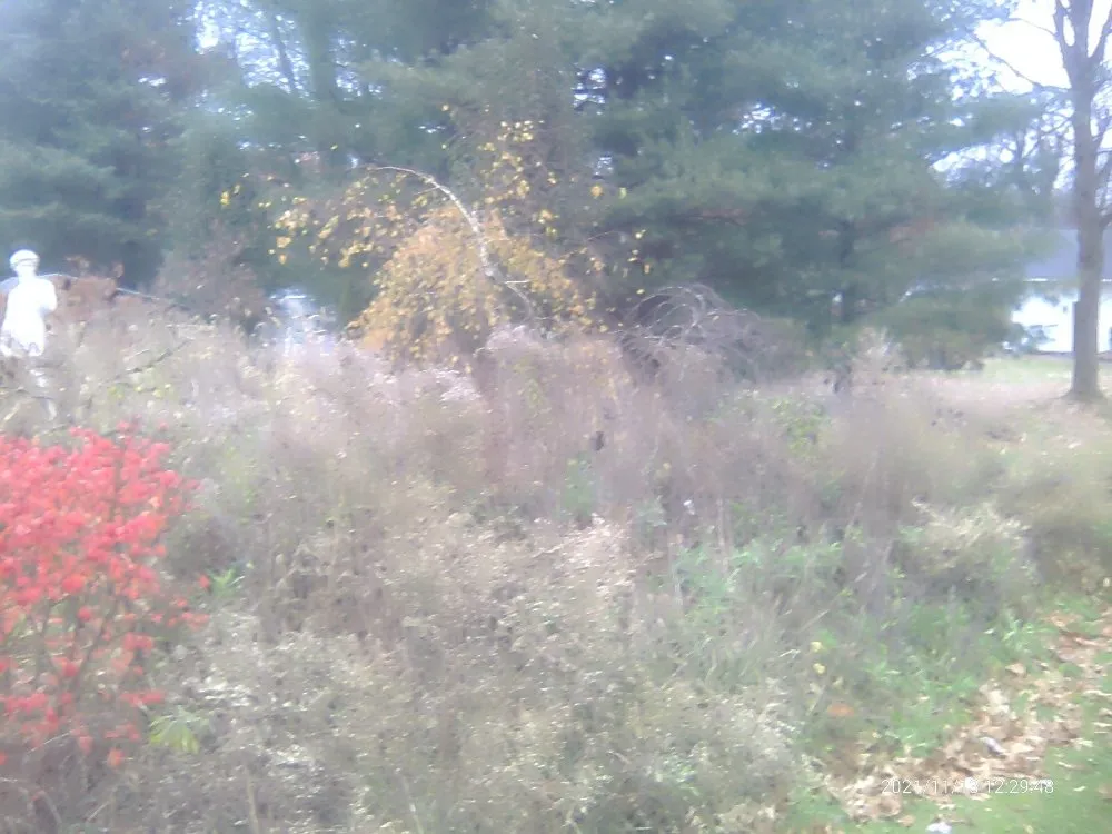 Top-rated yard maintenance in Sharon, PA by Pleasant Surrounding