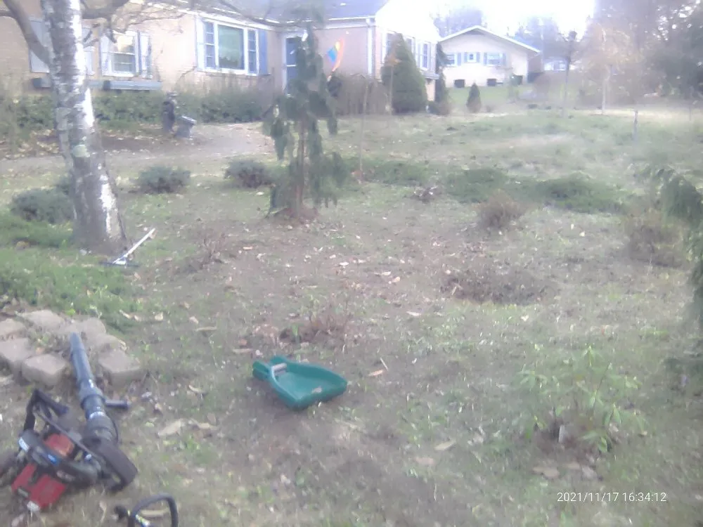 Professional yard cleanup service in Sharon, PA by Pleasant Surrounding