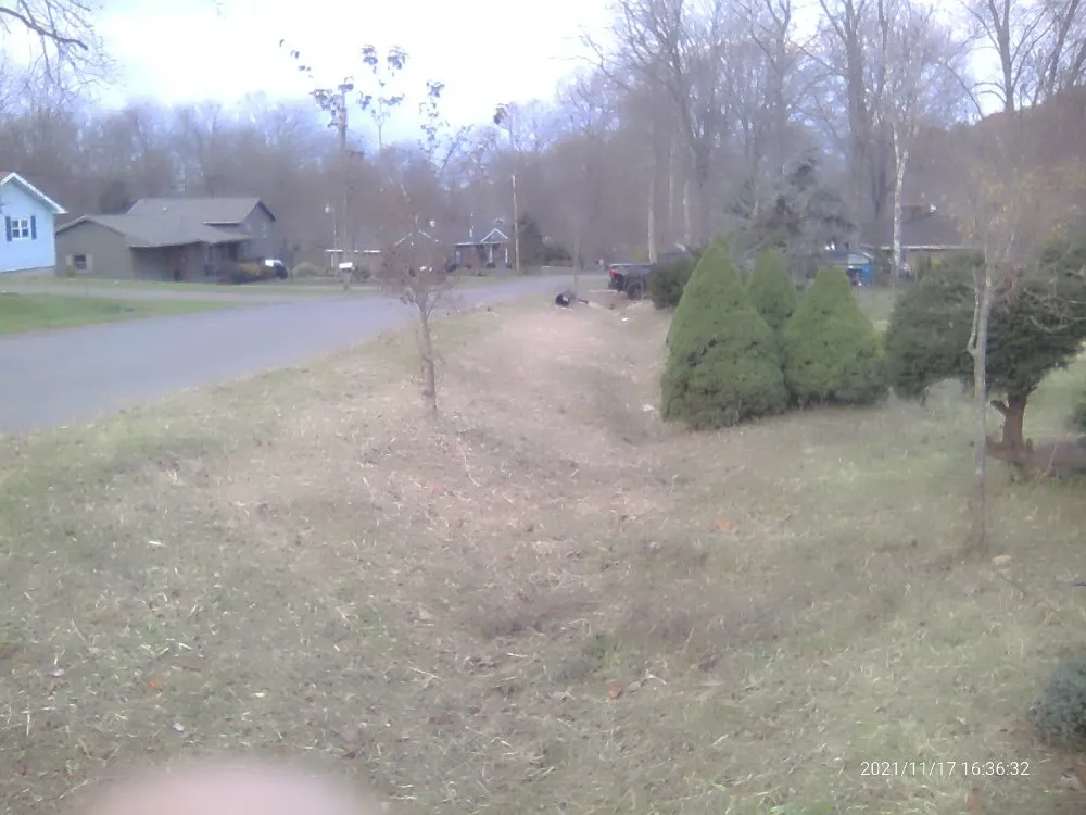 Expert landscaping services in Sharon, PA - Pleasant Surrounding