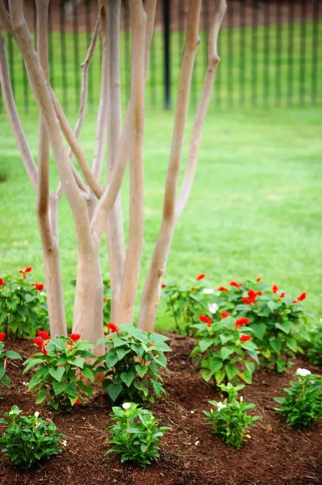 Top-rated residential landscaping for outdoor upgrades in Aldie, VA by Pleasant Valley Landscapes