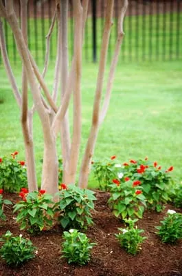 Pleasant Valley Landscapes Logo