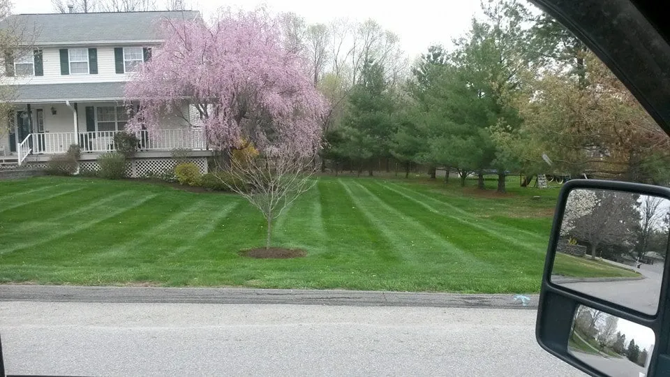 Expert lawn care service for beautiful yards in Pleasant Valley, NY by Pleasant Valley Landscaping & Sealcoating