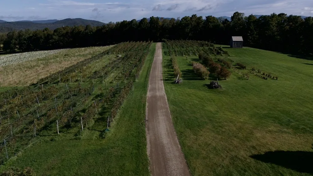 Trusted yard maintenance in Cambridge, VT by Pleasant Valley Landshaping