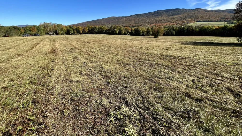 Reliable yard maintenance experts serving Cambridge, VT - Pleasant Valley Landshaping