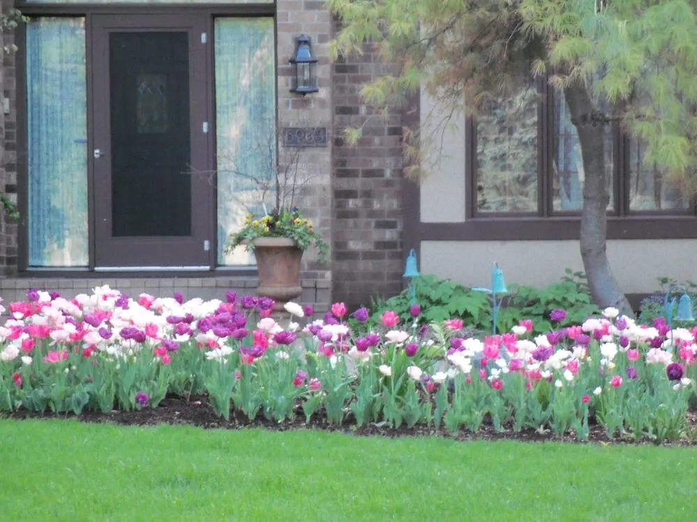 Custom yard maintenance in Maple Plain, MN by Pleasant View Gardens Inc