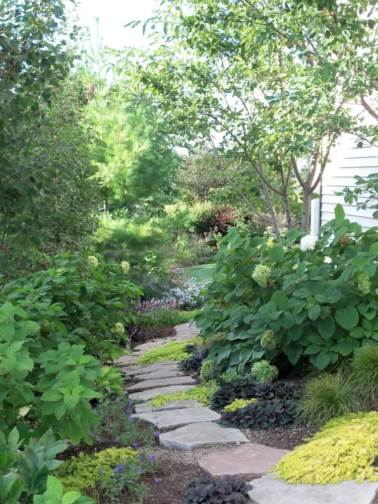 Custom yard cleanup service experts serving Maple Plain, MN - Pleasant View Gardens Inc