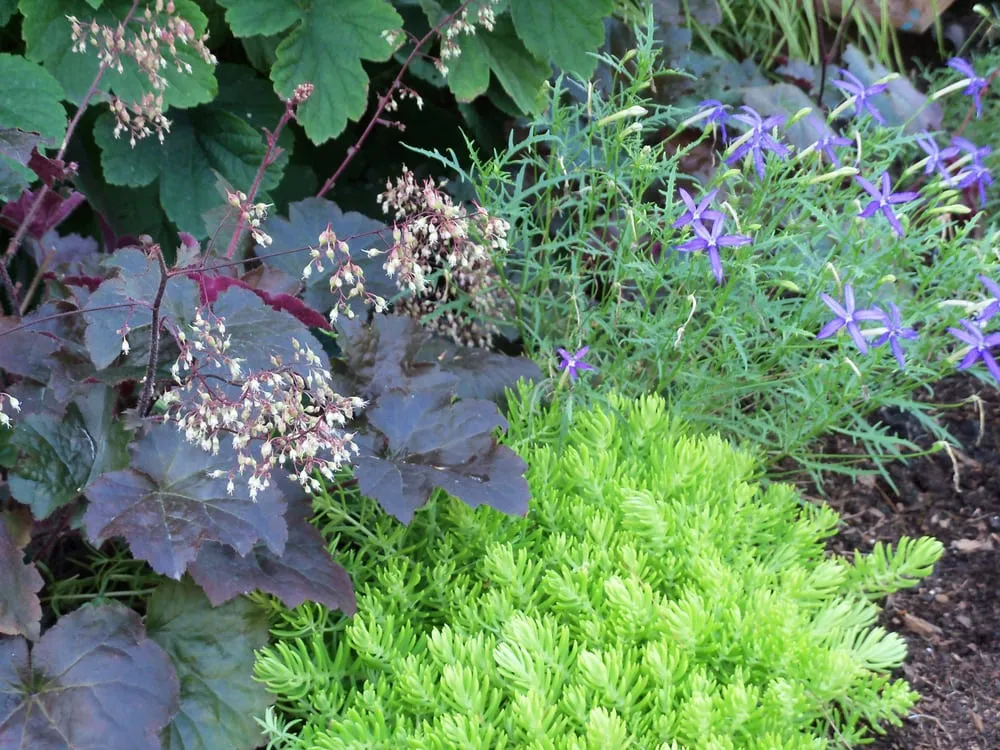 Affordable residential landscaping experts serving Maple Plain, MN - Pleasant View Gardens Inc