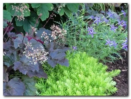 Professional yard cleanup service for homes in Maple Plain, MN by Pleasant View Gardens Inc