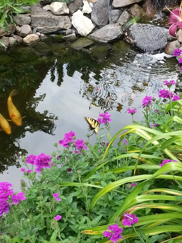 Reliable lawn care service with custom design across Maple Plain, MN - Pleasant View Gardens Inc