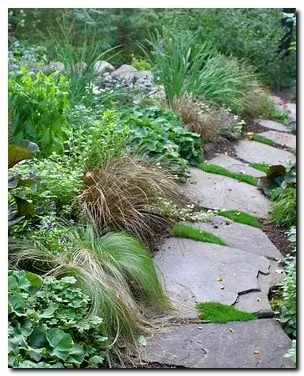 Top-rated landscaping services for outdoor upgrades in Maple Plain, MN by Pleasant View Gardens Inc