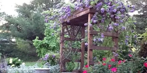 Local outdoor landscaping in Staunton, VA - Pleasant View Lawn & Home Care