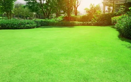 Affordable lawn care service near you in Mt. Juliet, TN by Pleasant View Lawn Care