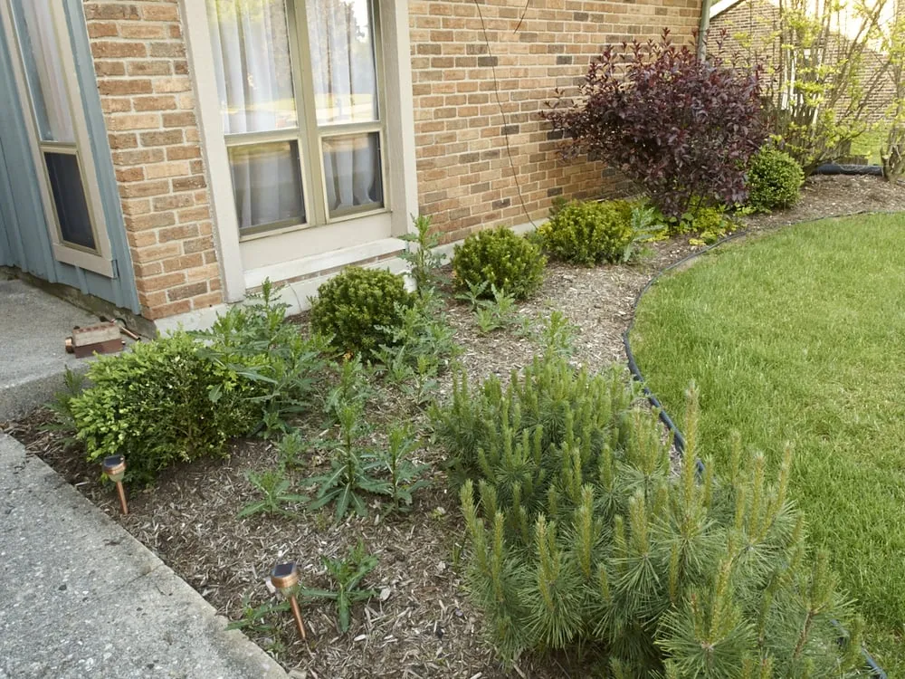 Local landscaping services for year-round maintenance across Richmond, IN - Pleasant View Nursery Garden Center & Florist