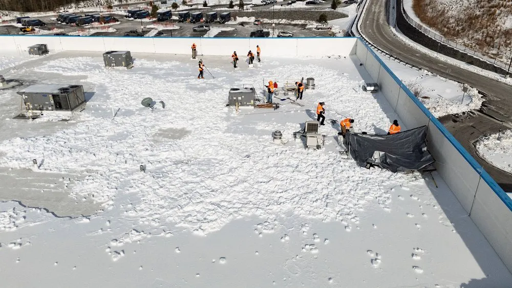 Trusted yard cleanup service experts serving Annapolis, MD - Pleasant View Property Services