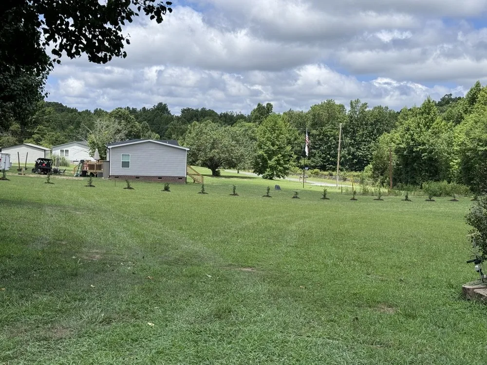 Professional landscape design in Yanceyville, NC - Pleasant View Solutions