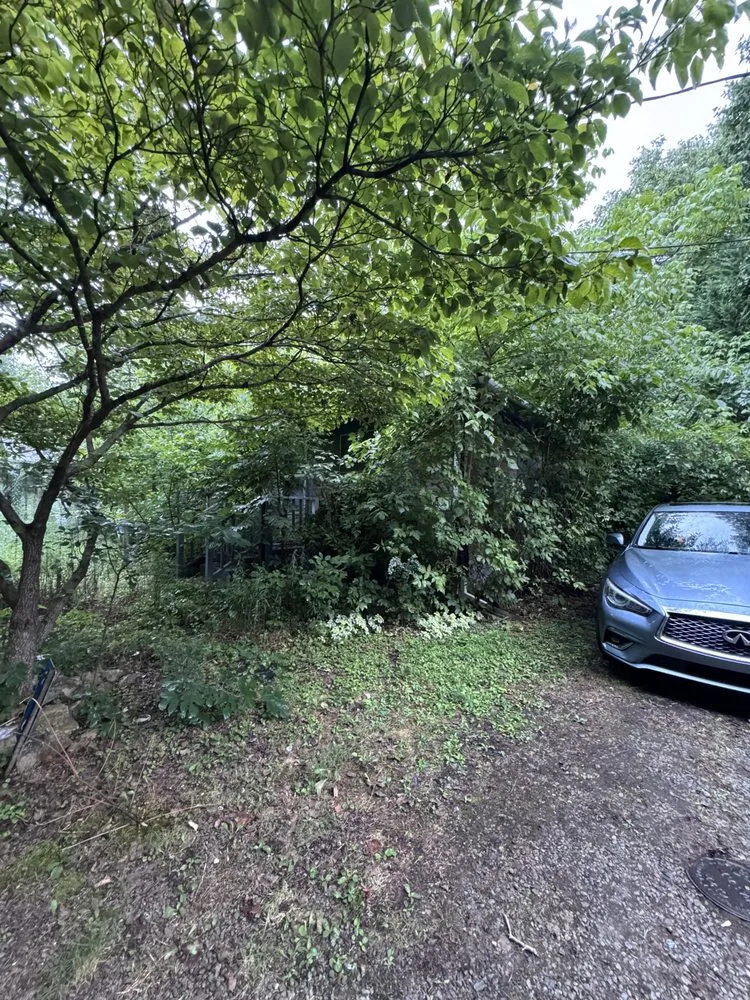 Professional lawn care service experts serving Yanceyville, NC - Pleasant View Solutions