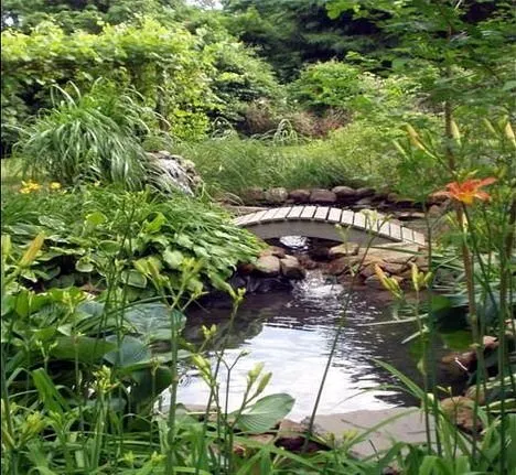 Expert lawn care service for beautiful yards across Rock Hill, SC - Pleasurable Ponds