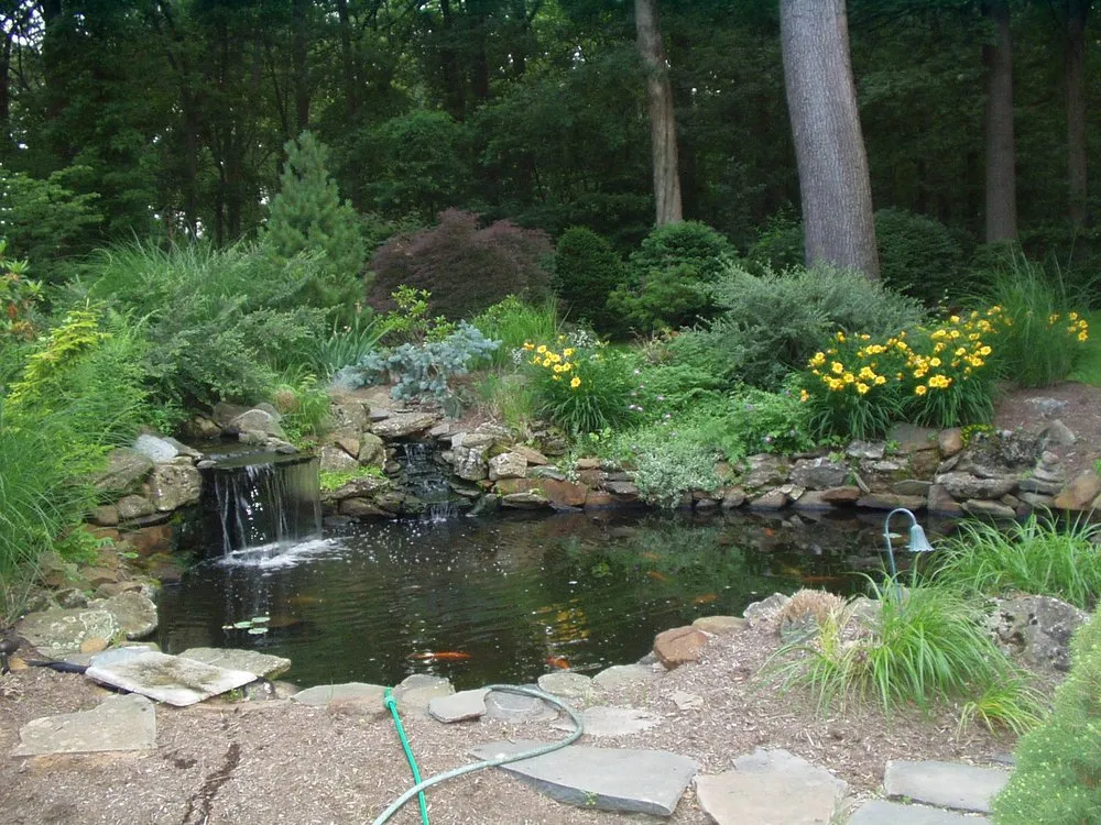 Professional lawn mowing service in Rock Hill, SC - Pleasurable Ponds