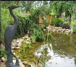 Expert yard cleanup service for residential properties in Rock Hill, SC by Pleasurable Ponds