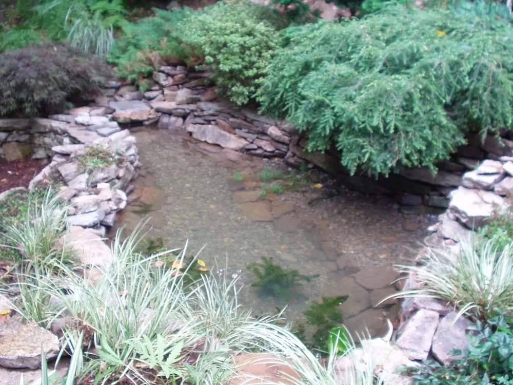 Custom yard cleanup service in Rock Hill, SC by Pleasurable Ponds