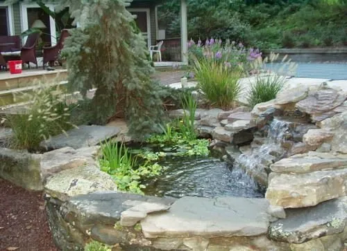 Expert landscape installation in Rock Hill, SC by Pleasurable Ponds