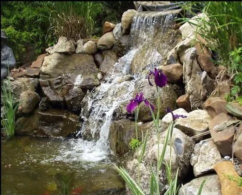Custom lawn care service for year-round maintenance in Rock Hill, SC by Pleasurable Ponds