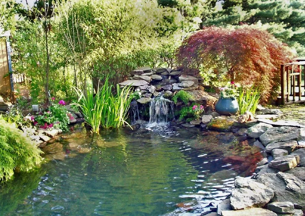 Professional lawn mowing service in Rock Hill, SC - Pleasurable Ponds