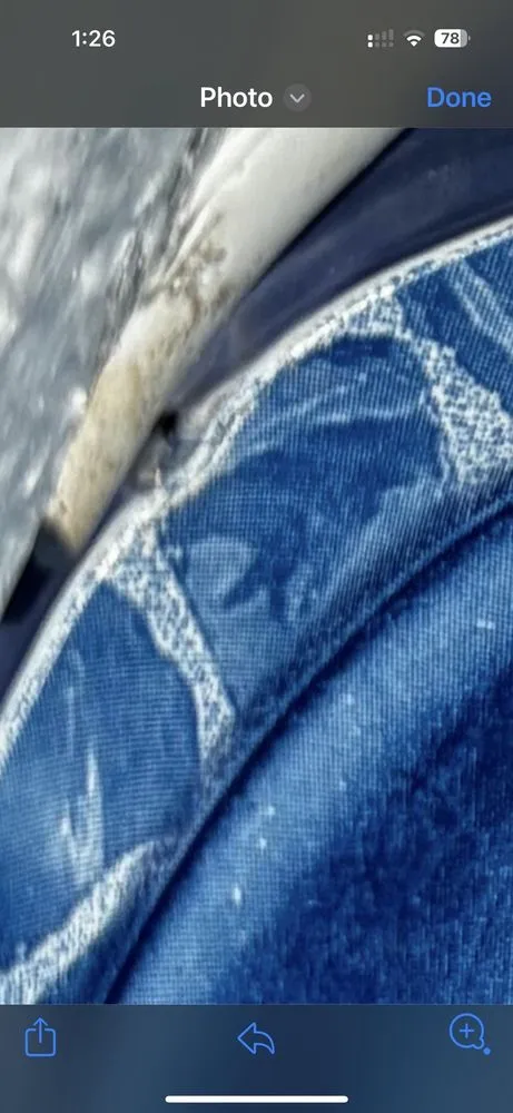 Affordable lawn mowing service in Hickory, NC - Pleasure Pools & Spas