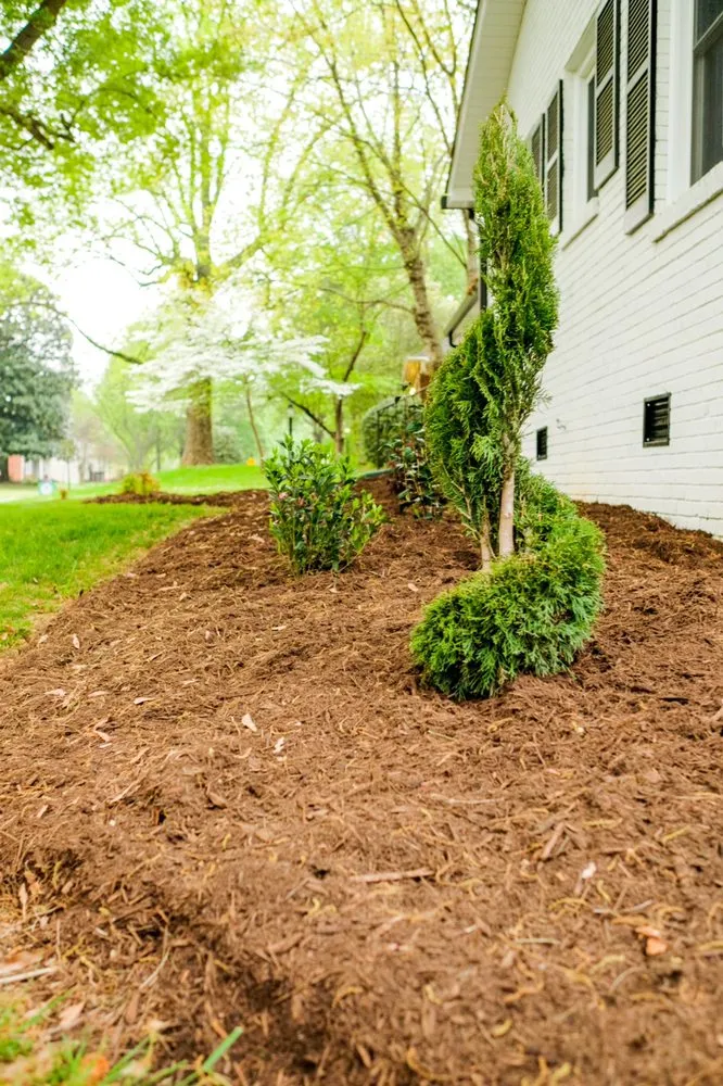 Top-rated landscaping services for beautiful yards across Matthews, NC - Pleiman Lawn & Landscape