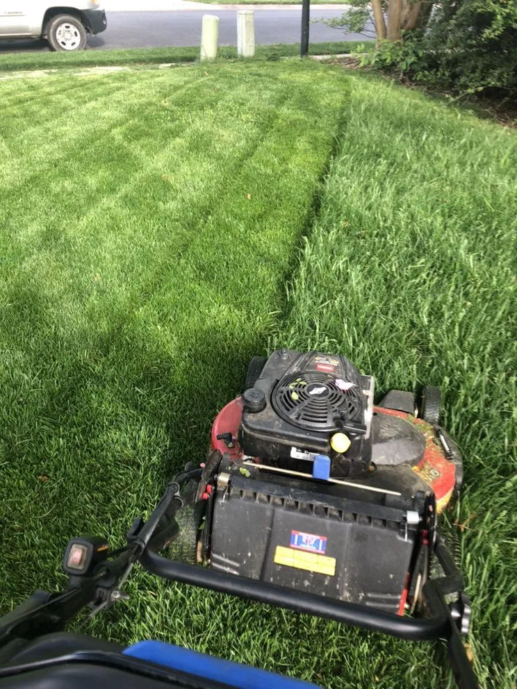 Expert lawn care service experts serving Matthews, NC - Pleiman Lawn & Landscape