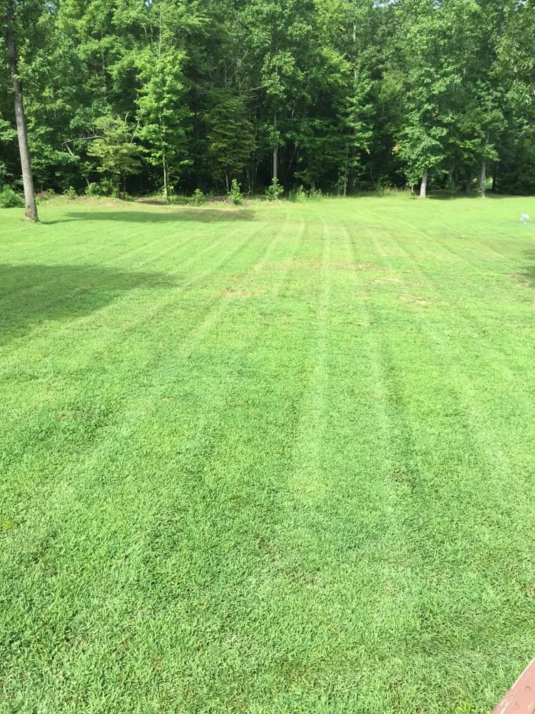 Professional yard maintenance in Chatsworth, GA by Plemons Lawn and Landscape