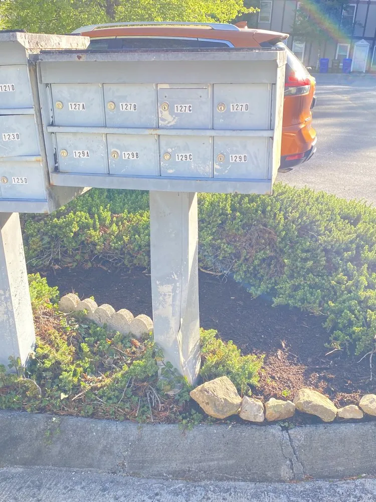 Professional landscape installation in Oak Ridge, TN - Plemons Pruning Mulch and More