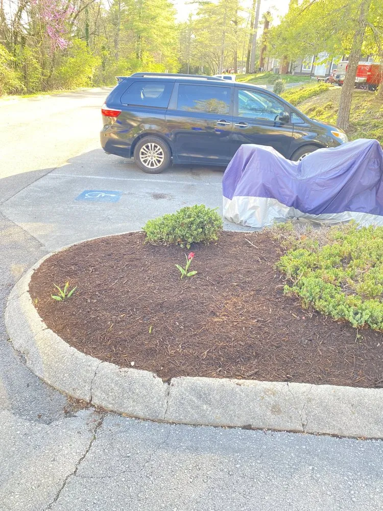 Expert residential landscaping for year-round maintenance across Oak Ridge, TN - Plemons Pruning Mulch and More