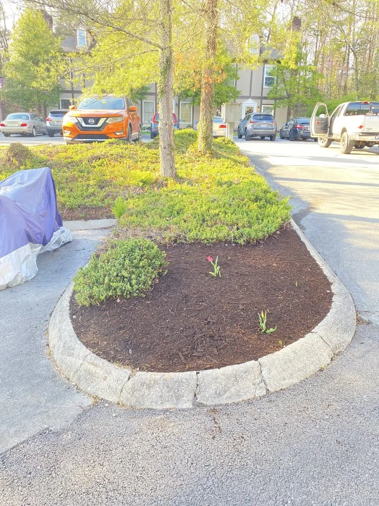 Expert lawn care service with custom design across Oak Ridge, TN - Plemons Pruning Mulch and More