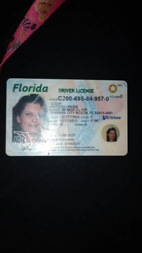 Affordable outdoor landscaping in Key West, FL - Plethora by Crossfire Relief