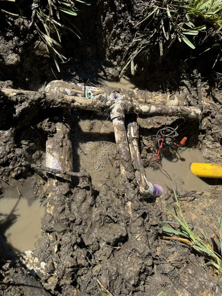 Affordable yard cleanup service in Huntsville, TX - PLM-Irrigation