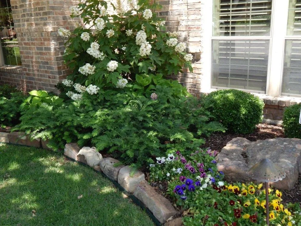 Professional residential landscaping in Carrollton, TX - PLM Landscaping and Outdoor Living